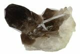 Dark Smoky Quartz Crystal Cluster - Brazil #134957-1